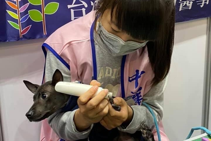 「搖尾草狗狗派對Tails Party!」寵物主題市集也有免費的狂犬病疫苗施打與晶片注射植入服務