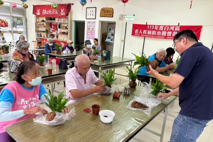 中華醫大師生執行USR計畫,深入社區帶領長者製作水苔球,訓練手眼協調與心靈療癒