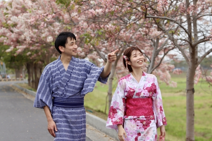 中華醫大相鄰的仁德滯洪池北堤岸花旗木盛開,來自日本的野口英佑夫妻穿日本傳統服飾賞花旗木,慰藉思鄉之情